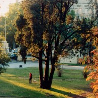 Lo Que Queda Del&nbsp;Exceso.