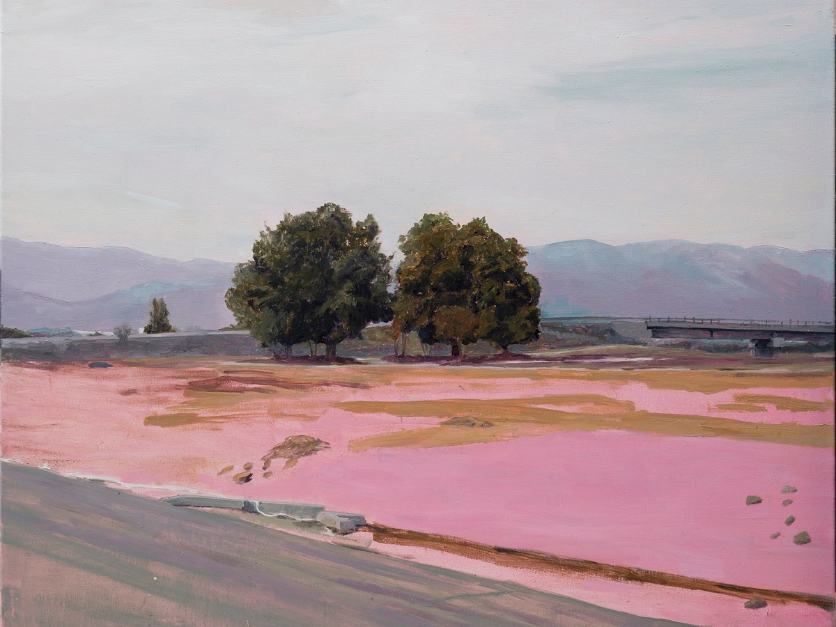 Ruderal – texto&nbsp;curatorial